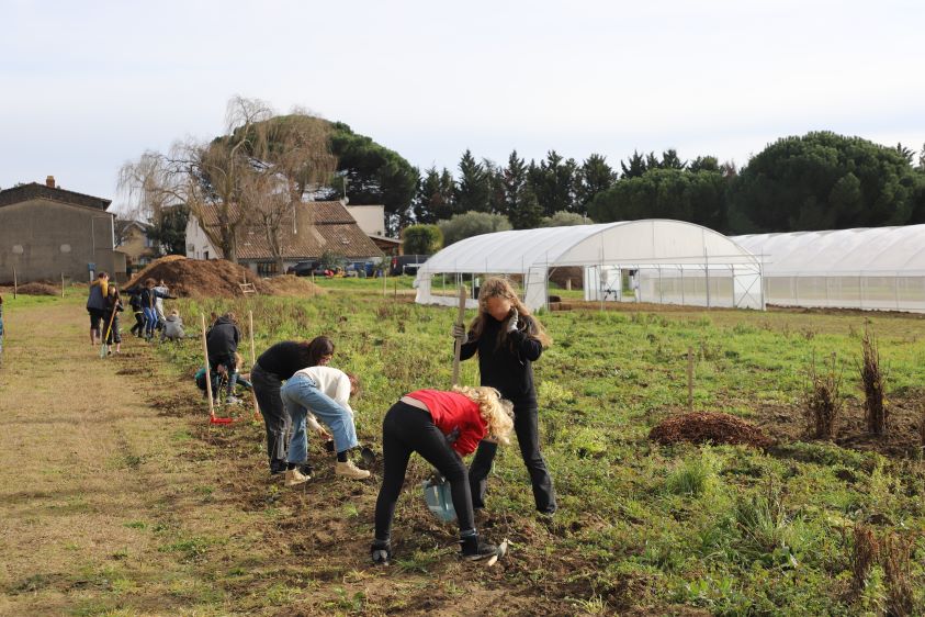 Ferme maraichère Bio – plantation de la haie